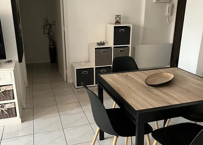 Plein Centre Διαμέρισμα *